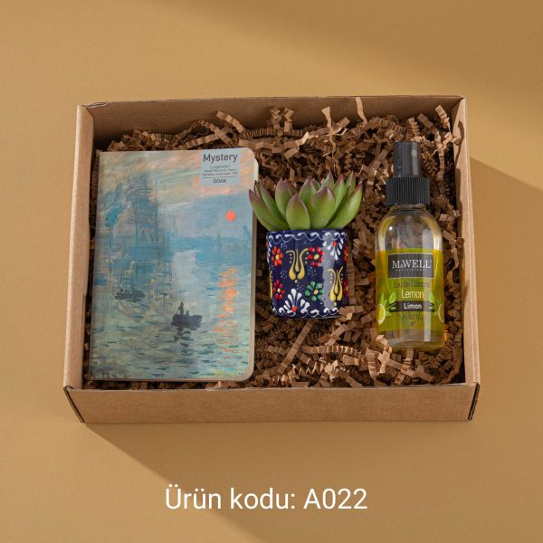 Arkadaş 2 - Görsel 2